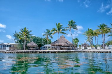 Palmiye ağaçları ve küçük bir kulübesi olan bir sahil. Su sakin ve gökyüzü berrak.