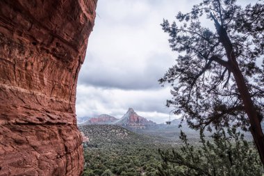 Bir ağacın arkasında bir dağ sırası görülebilir. Gökyüzü bulutlu ve ağaç çıplak.