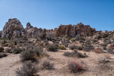 Açık mavi gökyüzü olan kayalık bir çöl manzarası. Gökyüzü görüntünün baskın rengidir ve kayalar sahnenin her tarafına dağılmıştır.
