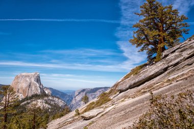 Önünde ağaç olan bir dağ sırası. Gökyüzü mavi ve güneş parlıyor.