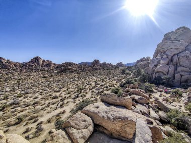 Önünde büyük bir kaya olan bir çöl manzarası. Gökyüzü açık ve güneş parlıyor.