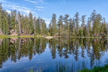Arka planda orman olan bir göl. Su sakin ve ağaçlar uzun. Sudaki ağaçların yansıması huzurlu ve huzurlu bir atmosfer yaratır.