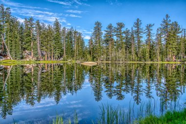 Arka planda orman olan bir göl. Su sakin ve berrak. Ağaçlar uzun ve yeşildir. Gökyüzü mavi ve bazı bulutlar var.