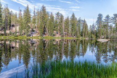 Arka planda orman olan bir göl. Su sakin ve ağaçlar uzun. Sudaki ağaçların yansıması huzurlu ve huzurlu bir atmosfer yaratır.