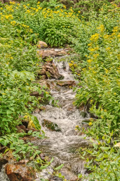 Bir su akıntısı yemyeşil bir tarladan akar. Su berrak ve çimenler canlı. Sahne huzurlu ve sakin, suyun sesi rahatlatıcı bir atmosfer yaratıyor.