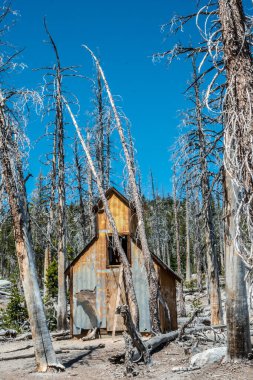 Küçük, eski bir kilise ölü ağaçlarla çevrilidir. Gökyüzü açık ve mavi