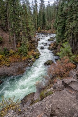 Şelalesi ve arka planında ağaçları olan bir nehir. Su berrak ve ağaçlar yeşil.