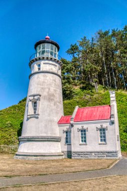 Kırmızı çatılı bir tepede bir deniz feneri var. Bina bir tepede.