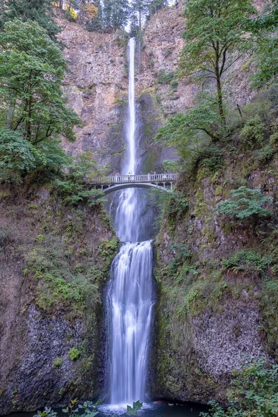 Bir şelale, üzerinde bir köprü olan bir dağdan aşağı akıyor. Su temiz ve köprü beyaz.