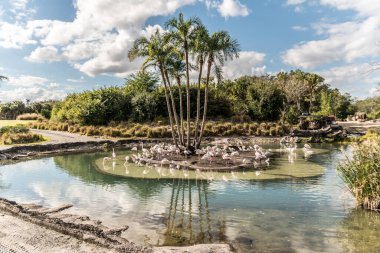 Ortasında ağaç olan bir gölet ve flamingo sürüsü. Su yeşil ve gökyüzü bulutlu.