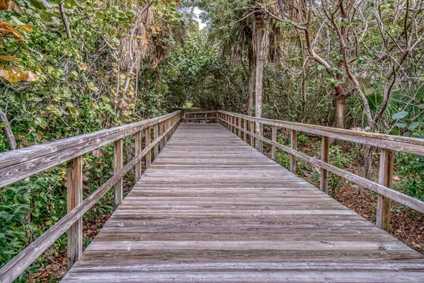 Ormandan geçen yolu olan ahşap bir köprü. Köprü eski ve yıpranmış, ama hala sağlam. Yol ağaçlarla çevrili ve ağaçlardaki yapraklar renk değiştiriyor.