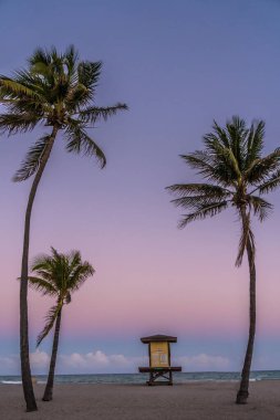 Can kurtaran standı ve palmiye ağaçları olan bir sahil. Gökyüzü güzel bir mor renktir. Sahne huzurlu ve rahatlatıcı.