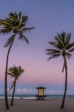 Can kurtaran standı ve palmiye ağaçları olan bir sahil. Gökyüzü güzel pembe bir renktir. Sahne huzurlu ve rahatlatıcı.