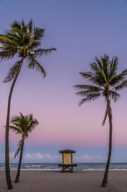 Cankurtaran istasyonu ve palmiye ağaçları olan bir sahil. Gökyüzü güzel bir mor renktir. Sahne huzurlu ve rahatlatıcı.
