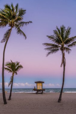 Cankurtaran standı ve üç palmiye ağacı olan bir sahil. Gökyüzü güzel mor bir renktir.