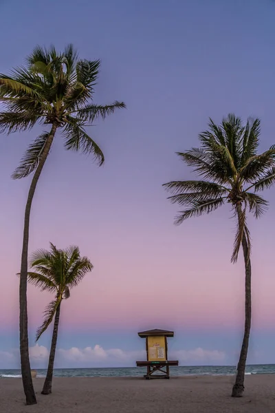 Can kurtaran standı ve palmiye ağaçları olan bir sahil. Gökyüzü güzel bir mor renktir. Sahne huzurlu ve rahatlatıcı.