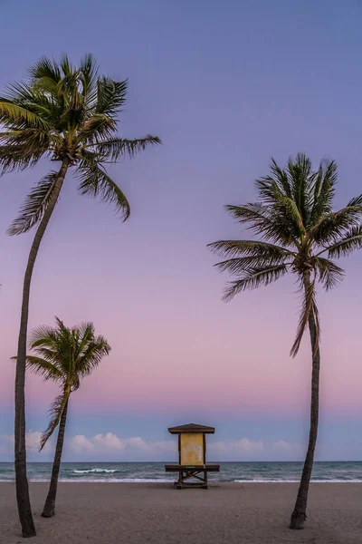 Cankurtaran istasyonu ve palmiye ağaçları olan bir sahil. Gökyüzü güzel bir mor renktir. Sahne huzurlu ve rahatlatıcı.