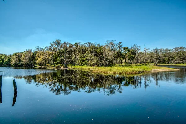 Arka planda ağaçlar olan sakin bir göl. Su durgun ve berrak. Gökyüzü mavi ve hiç bulut yok.
