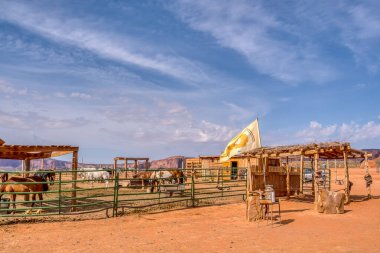 Birkaç atı ve koyunu olan bir çiftlik. Gökyüzü mavi ve güneş parlıyor.