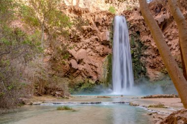 Arka planda bir ağaç olan bir şelale göle akıyor. Su berrak ve sakin. Çevresi yemyeşil ve yemyeşil. Huzurlu ve huzurlu bir sahne.
