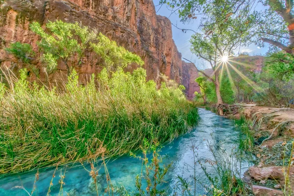 Yeşil çimenli bir kıyısı ve ön planda bir ağacı olan bir nehir. Güneş suyun üzerinde parlıyor, güzel ve huzurlu bir atmosfer yaratıyor.