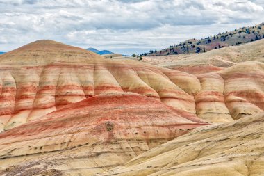 Kırmızı ve sarı desenli bir dağ sırası. Dağlar çimen ve ağaçlarla kaplı.