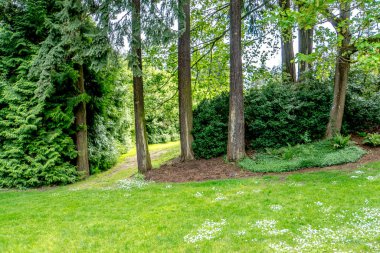 Yeşil, yemyeşil bir alan ve içinden geçen bir patika. Yol ağaçlar ve çalılarla çevrili, huzurlu ve huzurlu bir atmosfer yaratıyor. Çimenler iyi bakılmış ve çiçekler açmış.