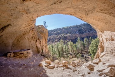 Ortasında ağaç olan büyük bir mağara. Ağaç kayalar ve kir ile çevrilidir ve küçük bir ağaçtır.