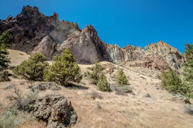 Arka planda mavi gökyüzü olan bir dağ sırası. Ağaçlar seyrek ve toprak kuru.