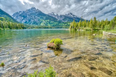 Dağlarla çevrili bir gölde küçük bir bitki yüzüyor. Su sakin ve berrak, gökyüzü bulutlu. Sükunet ve huzur kavramı