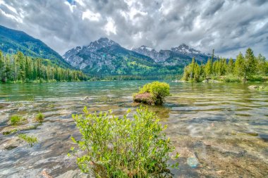 Dağlarla çevrili bir gölde küçük bir bitki büyüyor. Su sakin ve berrak, gökyüzü bulutlu. Huzurlu ve huzurlu bir sahne.