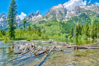 Önünde bir su kütlesi olan bir dağ sırası. Su sakin ve berrak. Arka plandaki ağaçlar yemyeşil. Huzurlu ve huzurlu bir sahne.