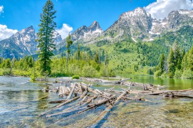 İçinden bir nehir akan güzel bir dağ sırası. Su sakin ve berrak, ağaçlar gür ve yemyeşil. Sahne huzurlu ve huzurlu, ve bir huzur hissi uyandırıyor.