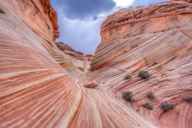 Çok farklı renk ve dokuları olan güzel, kayalık bir kanyon. Gökyüzü bulutlu ve güneş bulutların arasında parlıyor, sıcak ve davetkar bir atmosfer yaratıyor. Kanyon hayat dolu.