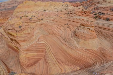 Büyük, kıvrımlı bir tepesi olan kayalık, çöl manzarası. Tepe kayalarla kaplı ve eşsiz, kıvrımlı bir şekli var. Manzara çorak ve engebeli, görünürde bitki yok.