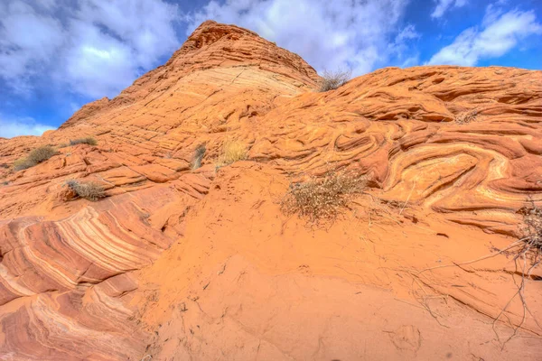 Üzerinde birkaç bitki yetişen kayalık bir yamaç. Gökyüzü mavi ve bazı bulutlar var.