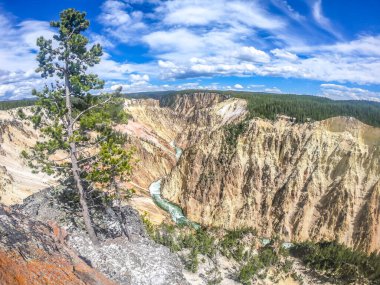 Nehre bakan bir uçurumda bir ağaç büyüyor. Gökyüzü açık ve mavi, ve nehir dağdan aşağı akıyor. Sahne huzurlu ve sakin. Ağaç istikrar hissi veriyor.