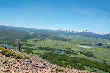 Uzakta açık mavi gökyüzü ile bir dağ sırası görülebilir. Dağlar karla kaplı ve manzara yemyeşil.