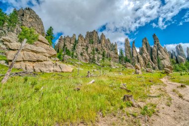 Birkaç ağaç ve birkaç kayayla kayalık, çimenli bir arazi. Gökyüzü mavi ve bazı bulutlar var.