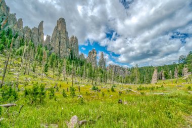 Arka planda birkaç ağaç olan büyük bir çim tarlası. Gökyüzü bulutlu ve güneş bulutların arasında parlıyor.