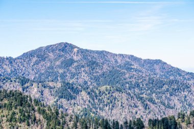 Arka planda mavi gökyüzü olan bir dağ sırası. Ağaçlar çıplak ve dağ karla kaplı.