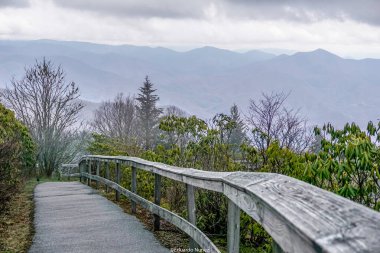 Ormanda bir patika boyunca ahşap bir çit var. Yol ağaçlarla kaplı ve gökyüzü bulutlu.