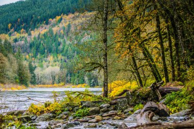 A beautiful autumn day with a river running through a forest. The trees are full of leaves and the water is calm