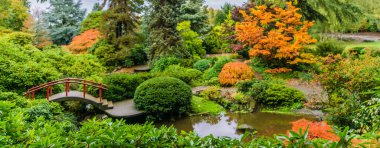 Köprüsü ve göleti olan güzel bir bahçe. Gölet ağaçlar ve çalılarla çevrilidir. Ağaçlar yeşil ve yaprakları renk değiştiriyor. Bahçe huzurlu ve huzurlu.