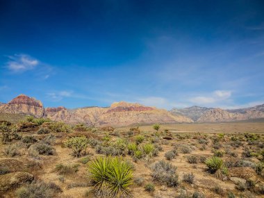 Açık mavi gökyüzü olan bir çöl manzarası. Gökyüzü bulutlarla kaplı ve güneş ışıl ışıl parlıyor. Manzara çorak ve kuru, sadece birkaç küçük çalılık etrafa saçılmış.