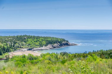 Arka planda ağaçlar olan güzel bir sahil ve okyanus manzarası. Gökyüzü açık ve mavi, ve su sakin
