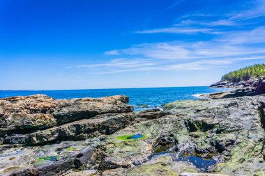 Arka planda mavi bir okyanus olan kayalık bir kıyı şeridi. Gökyüzü açık ve mavidir, ve güneş parlıyor. Huzurlu ve huzurlu bir sahne.