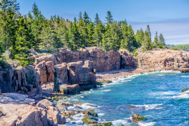 Arka planda mavi bir okyanus olan kayalık bir kıyı şeridi. Ağaçlar yeşil ve gökyüzü berrak