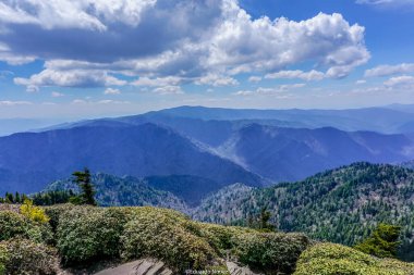 Arka planda mavi gökyüzü olan bir dağ sırası. Dağlar ağaçlarla ve çalılarla kaplıdır.