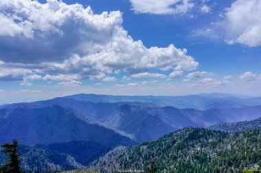 Gökyüzü bulutlarla mavidir ve arka planda dağlar vardır. Dağlar ağaçlarla örtülmüş, gökyüzü ise berrak.